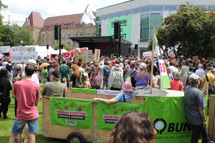 Menschenmenge vor einer Bühne, von hinten zu sehen, mit Plakaten und Bannern auf einer Wiese
